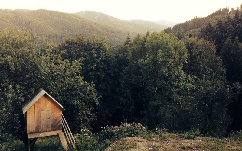 Strumperma Edukacija — rad s klijentima